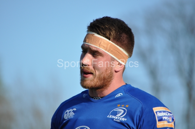 Leinster-BenettonTreviso-015